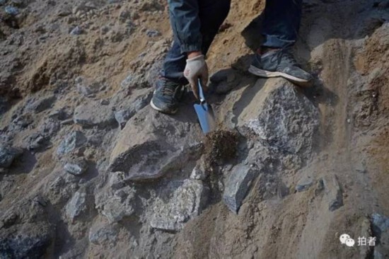 �b�͍u�����C���Bɽ��������˭h���^�l�� 